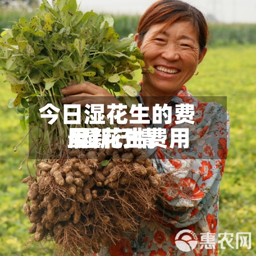 今日湿花生的费用
/湿花生费用
最新行情-第2张图片