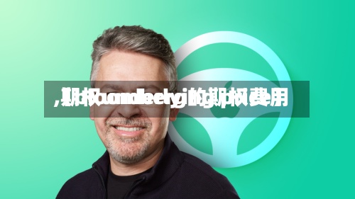 【bloomberg的期权费用,期权underlying price】-第2张图片