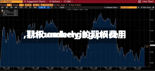 【bloomberg的期权费用,期权underlying price】-第3张图片