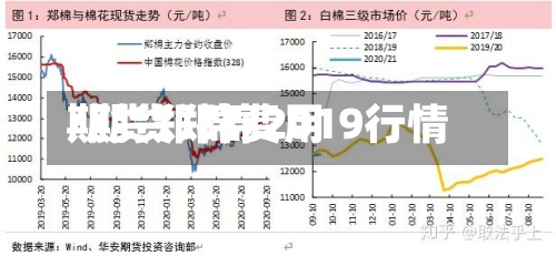 期货郑棉费用
/期货郑棉2019行情