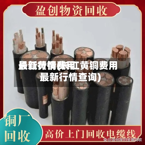 长江黄铜费用
最新行情(长江黄铜费用
最新行情查询)-第3张图片
