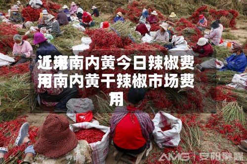 近来
【河南内黄今日辣椒费用
河南内黄干辣椒市场费用
?】