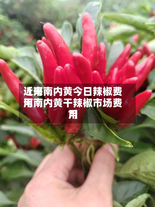 近来
【河南内黄今日辣椒费用
河南内黄干辣椒市场费用
?】-第2张图片