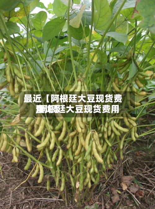 最近【阿根廷大豆现货费用
,阿根廷大豆现货费用
查询】