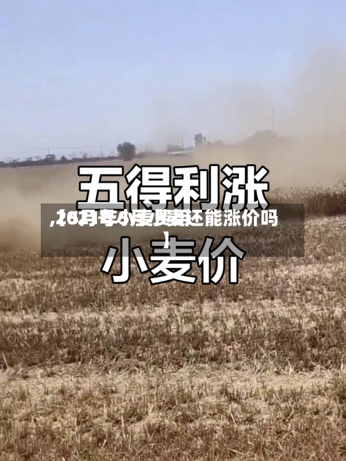 【5月号小麦费用
,2021年5月小麦还能涨价吗】