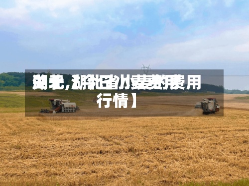 关于【今日小麦费用
湖北,湖北省小麦的费用
行情】-第2张图片