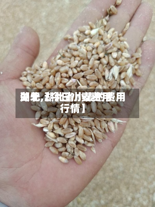 关于【今日小麦费用
湖北,湖北省小麦的费用
行情】-第3张图片