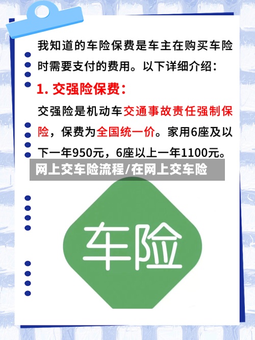 网上交车险流程/在网上交车险