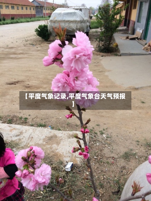 【平度气象记录,平度气象台天气预报】-第2张图片