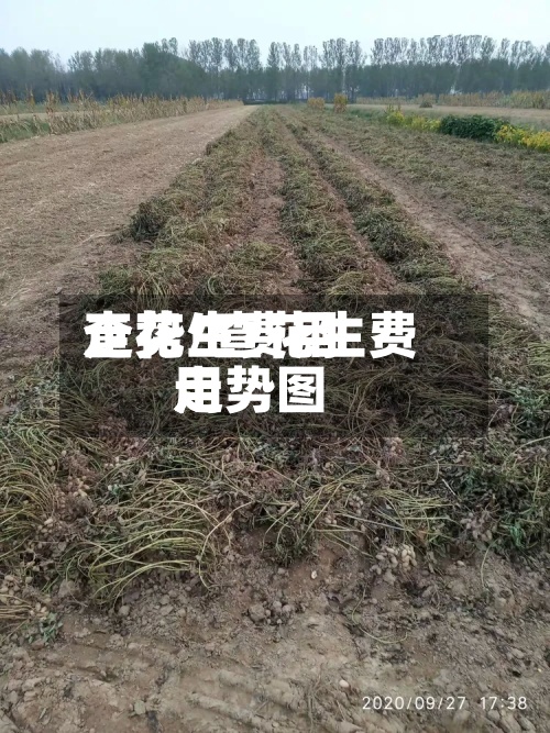 查花生费用走势/查花生费用走势图-第2张图片