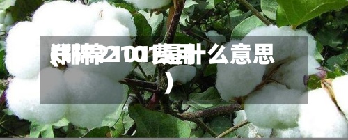 郑棉2101费用(郑棉2101是什么意思)