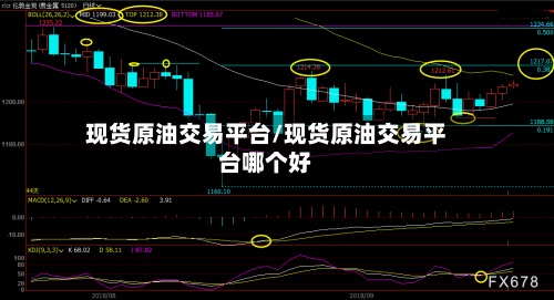 现货原油交易平台/现货原油交易平台哪个好-第2张图片