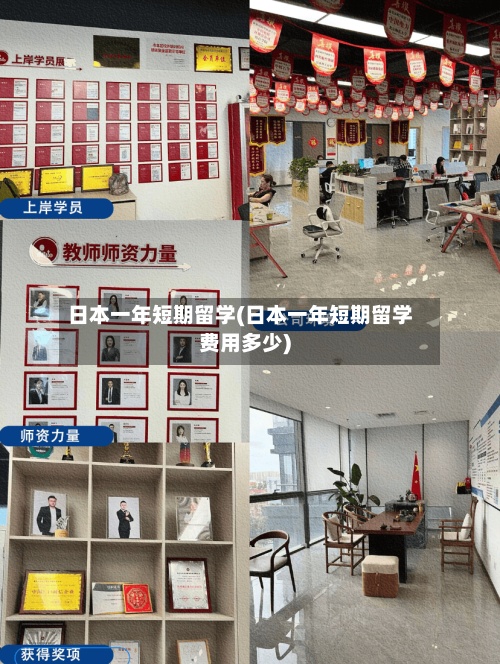 日本一年短期留学(日本一年短期留学费用多少)-第2张图片
