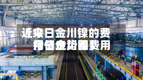 近来
【今日金川镍的费用
今日金川镍费用
行情走势图】-第3张图片