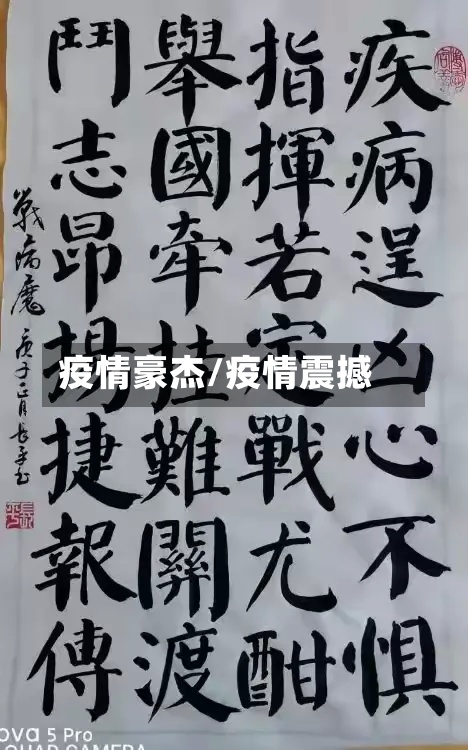 疫情豪杰/疫情震撼-第2张图片