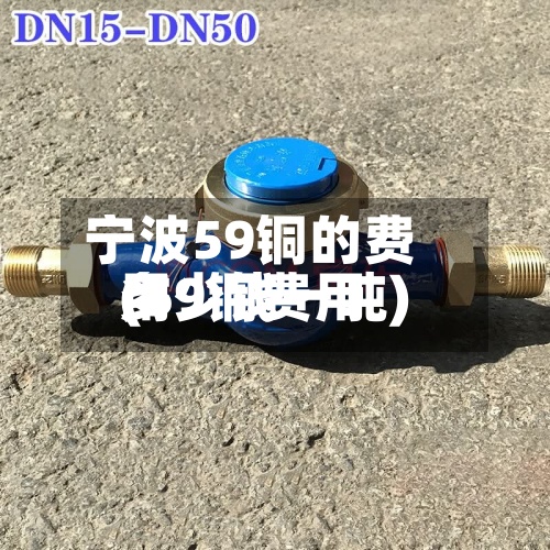 宁波59铜的费用
(59铜费用
多少钱一吨)