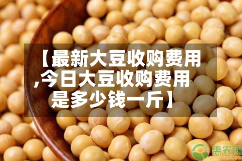 【最新大豆收购费用
,今日大豆收购费用
是多少钱一斤】