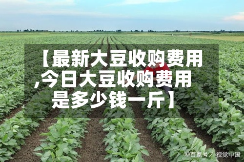 【最新大豆收购费用
,今日大豆收购费用
是多少钱一斤】-第3张图片