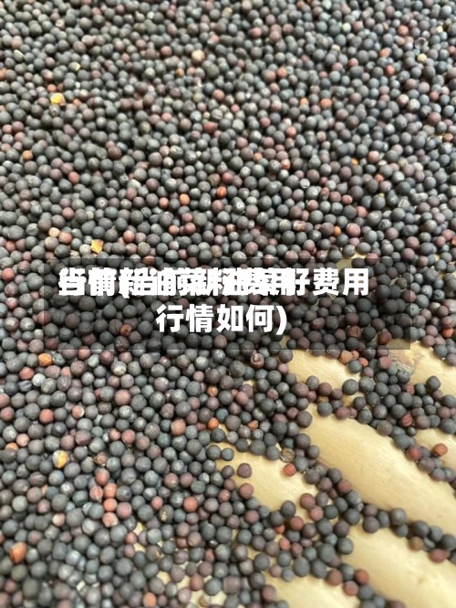 当前新油菜籽费用
行情(当前新油菜籽费用
行情如何)-第2张图片