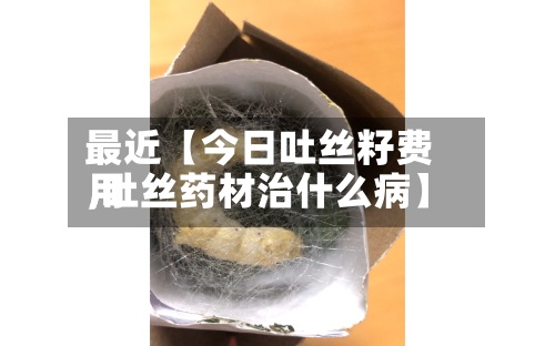最近【今日吐丝籽费用
,吐丝药材治什么病】