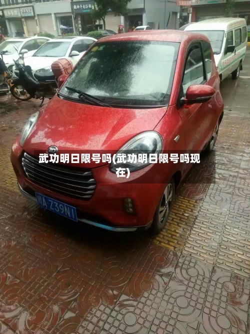 武功明日限号吗(武功明日限号吗现在)-第2张图片