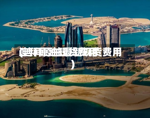 迪拜原油现货费用(迪拜原油最新现货费用)-第2张图片