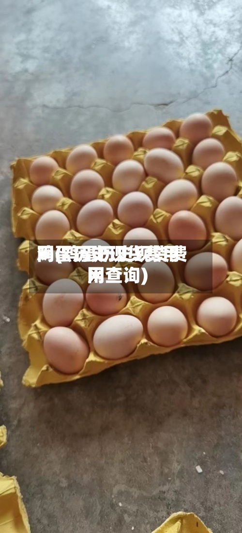 鸡蛋历史现货费用
网(鸡蛋历史现货费用
网查询)-第2张图片