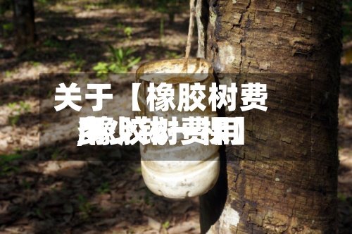 关于【橡胶树费用
,橡胶树费用
多少钱一棵】