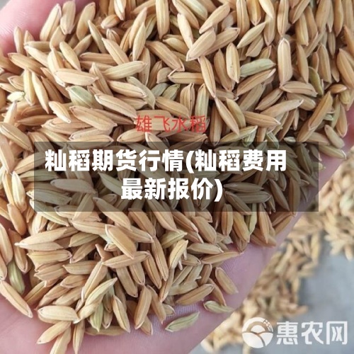 籼稻期货行情(籼稻费用最新报价)