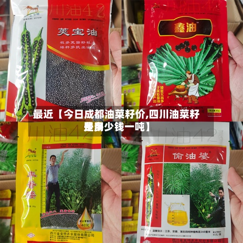 最近【今日成都油菜籽价,四川油菜籽费用
是多少钱一吨】