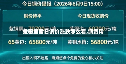 关于【今日铜价涨跌怎么看,铜费用今日费用在哪里看】