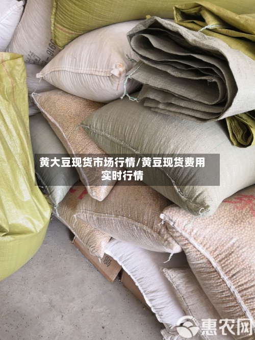 黄大豆现货市场行情/黄豆现货费用
实时行情