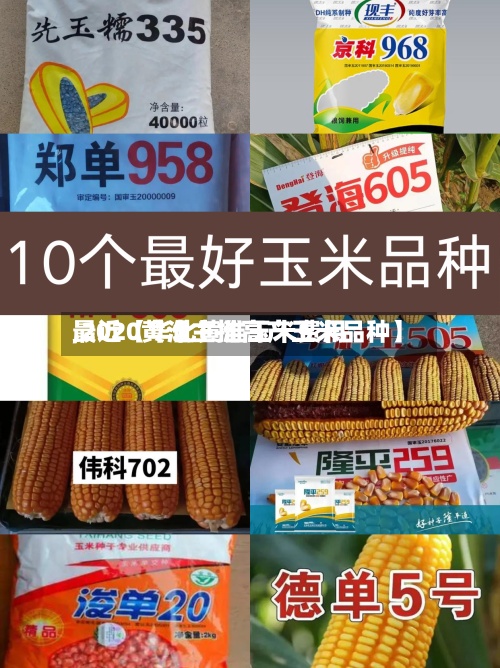 最近【华北黄淮玉米费用
,2020黄淮主推高产玉米品种】-第2张图片