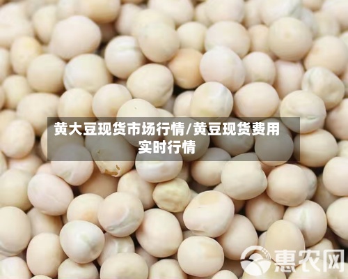 黄大豆现货市场行情/黄豆现货费用
实时行情-第3张图片
