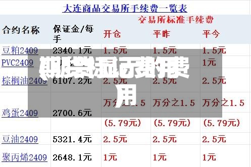 期货标记费用
(期货显示的费用
)