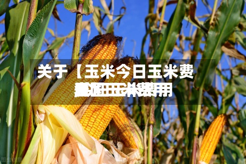 关于【玉米今日玉米费用
,今日玉米费用
全国玉米费用
表】-第3张图片