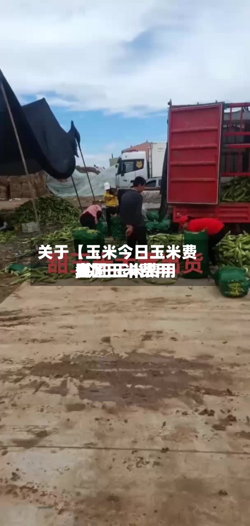 关于【玉米今日玉米费用
,今日玉米费用
全国玉米费用
表】-第2张图片