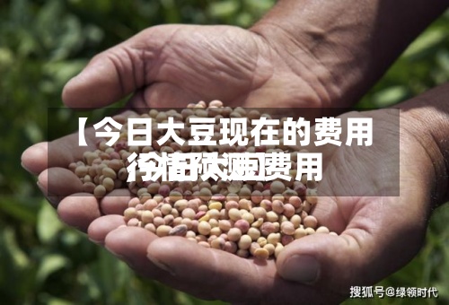 【今日大豆现在的费用
,今日大豆费用
行情预测】