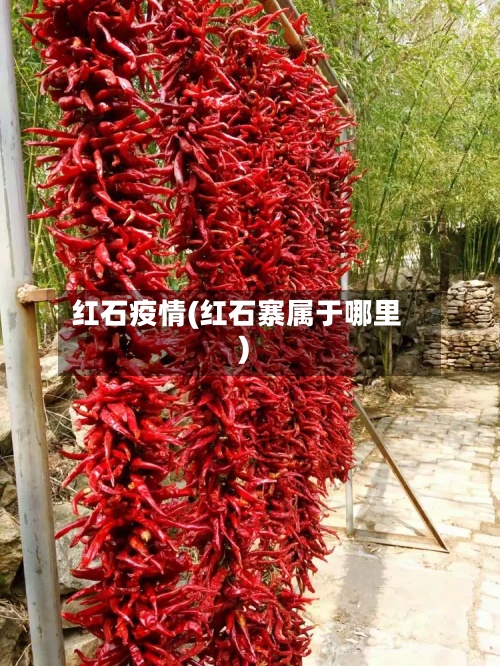 红石疫情(红石寨属于哪里)-第2张图片