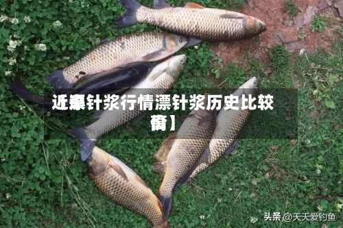 近来
【漂针浆行情漂针浆历史比较高
价】-第3张图片