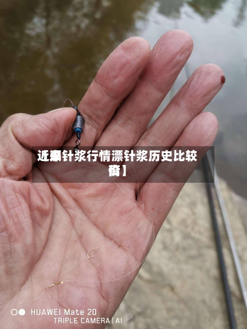 近来
【漂针浆行情漂针浆历史比较高
价】