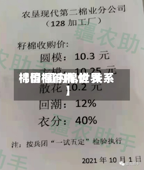 【国棉行情,世界
棉价 国内棉价 关系】-第2张图片