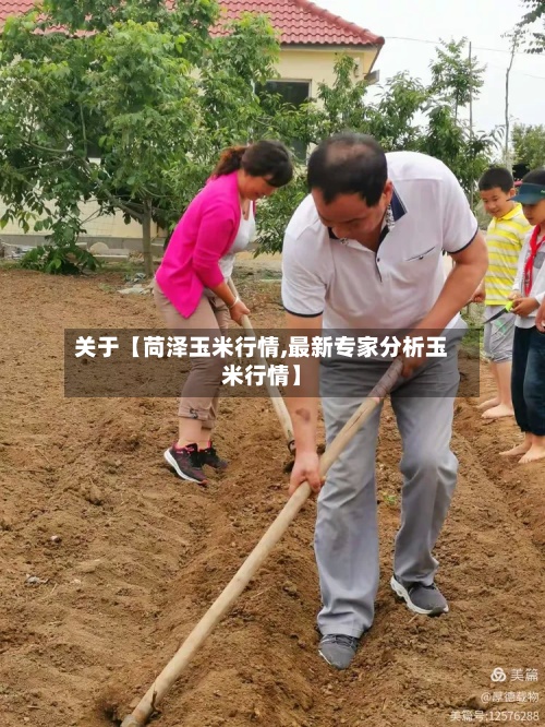关于【苘泽玉米行情,最新专家分析玉米行情】