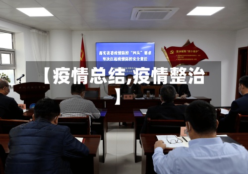 【疫情总结,疫情整治】-第2张图片