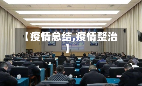 【疫情总结,疫情整治】