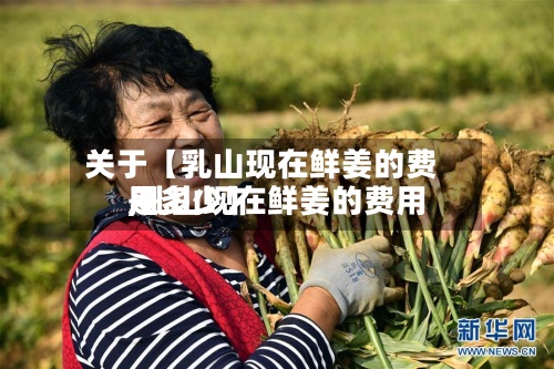 关于【乳山现在鲜姜的费用
,乳山现在鲜姜的费用
是多少】-第2张图片