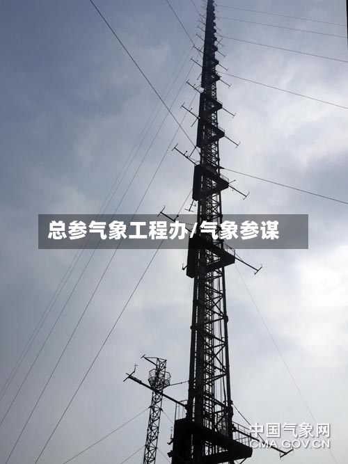 总参气象工程办/气象参谋