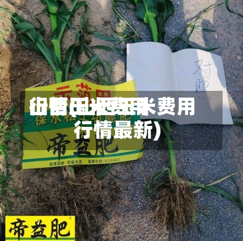 山西玉米费用行情(山西玉米费用行情最新)