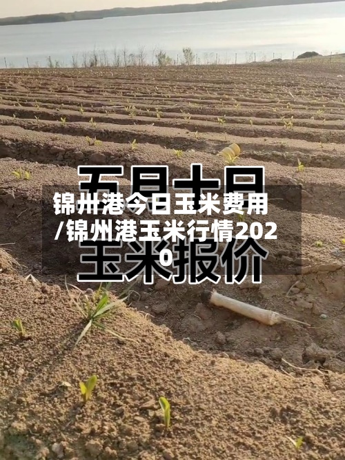 锦卅港今日玉米费用
/锦州港玉米行情2020