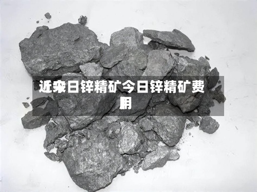 近来
【今日锌精矿今日锌精矿费用
】-第2张图片